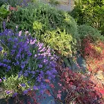 Avec Piscine 別荘 ベルモン