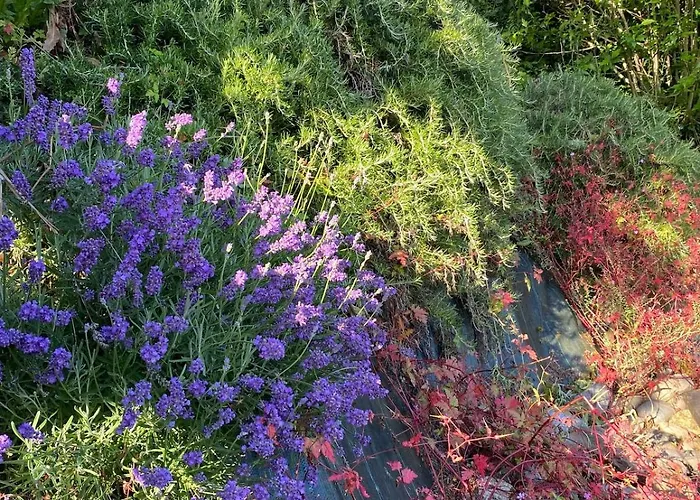 Avec Piscine Semesterbostad Belmont (Gers)