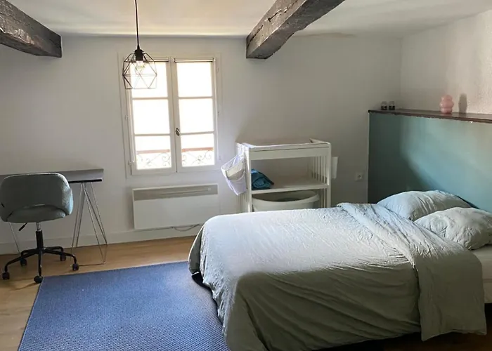 Avec Piscine Semesterbostad *